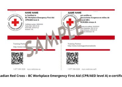 Canadian Red Cross – BC Workplace Emergency First Aid (CPR_AED level A) e-certificate, Mainland Safety, First Aid Training Services, Surrey, BC
